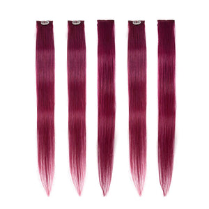 Winsky Burgundy Clip in Colored Hair Extensions 100% Real Human Hair - Straight Highlights Colored Clip on Hairpieces 5 Pieces/Set (18inch, Burgundy)