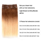 5 Pieces 20" Remy Clip in Hair Extensions Human Hair light Brown to Dirty Blonde Ombre - Silky Straight Short Thick Real Hair Extensions for Women (20 inches, 8T24, 100grams)