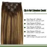 GOO GOO Clip in Hair Extensions Balayage Chocolate Brown to Caramel Blonde Remy Human Hair Extensions 7pcs 120g 20 Inch Long Hair Extensions Clip in Human Hair Straight Hair