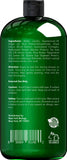 New York Biology Tea Tree Conditioner – Deep Cleanser – Relief for Dandruff and Dry Itchy Scalp – Therapeutic Grade - Helps Promote Hair Growth – 16.9 fl Oz